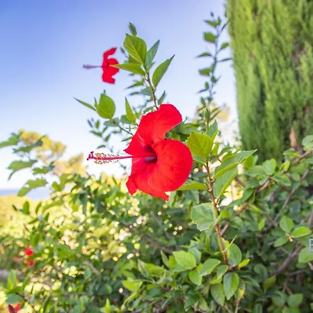 Sumptuous With Sea View And Its Renovated Outbuilding In The Heart Of